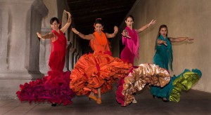 Flamenco-Arana-best